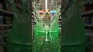 Sim's Great Cheese Heist🧀