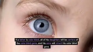 Are boys more color blind?