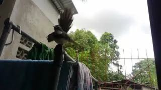 VID 20220824 161521