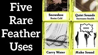 Five Rare Feather Uses - Feather Function #3