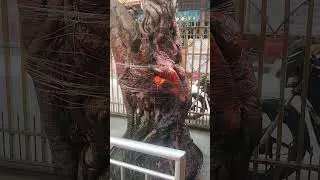 Kamaladi Hanuman Temple with Buddha 🙏🛕 #HanumanTemple #BuddhaStatue #KathmanduTemple #NepalTemple