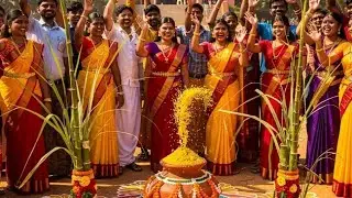 Pongal celebration @ Thittagudi Sengunthar engineering college, Tholudhur uploaded by professor👨‍🏫