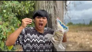 Jeprox ang Batang Treasure Hunter