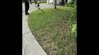 Grass Trimming Work | Lawn Maintenance Routine