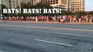 BAT BRIDGE