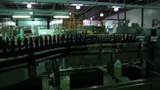 The Business of Organic Beer