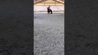 Athena, first trot under saddle