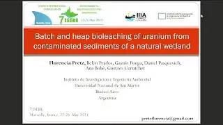 PRETZ Florencia: Batch and heap bioleaching of uranium from contaminated sediments of a natural ...