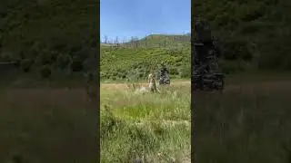 Off-Road Adventure on CR-572 Rye to La Veta -Scenic Colorado Drive on a Sunny Day #offroad #bronco