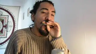 Blue drag - Harmonica