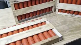 Bottom fused mortar fuse speed test