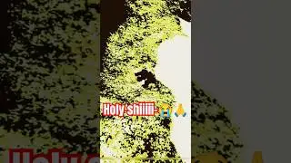 Om Shanti #memes #funny #roblox #gaming #edit #chilld #robloxmemes #goku #squidgam #videogamememes