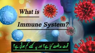 Quwat e Mudafiat kiya hota hai? |Tib-e-Nabvi|