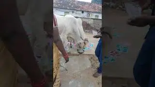 Mana mulugu jai sri krishna dance acadamy