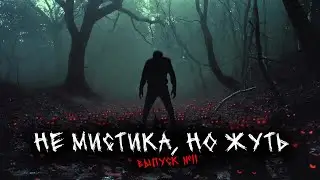 НЕ МИСТИКА, НО ЖУТЬ (ХОТЯ МИСТИКА ТОЖЕ ПРИСУТСТВУЕТ) (5В1) ВЫПУСК №11