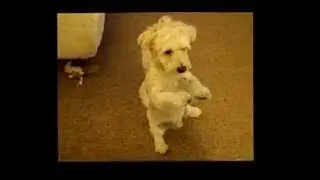 KTricks