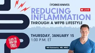 Chronic Inflammation Isn't About Exercise | It's About This | Dr. Will Bulsiewicz, MD