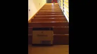 MINI BASKETBALL SHOTS