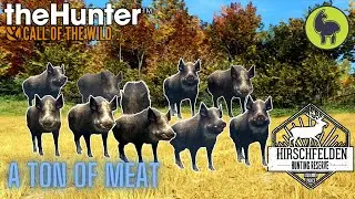 Tressler- A Ton of Meat, Hirschfelden | theHunter: Call of the Wild (PS5 4K)