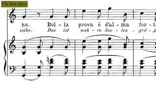 Bella prova Lesson 3 (Nicola Vaccai) Soprano/Tenor, Karaoke. Николо Ваккаи. урок 3