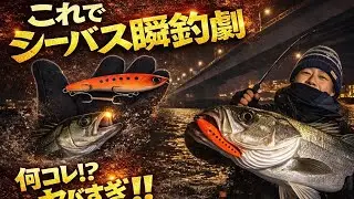 【紀の川大橋下ドッグラン側】紀ノ川シーバス狙うならこのルアーを使え！冬シーバス一瞬で釣ります