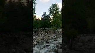Naran 2021