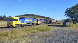 Pacific National Coal train RUOK 9312 9213 and  9306 Glennies Creek Hunter valley 16-6-2024