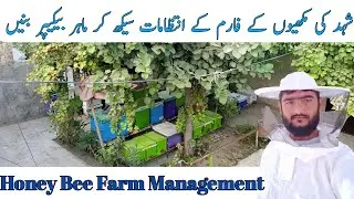 Honey bee Farm Management | Honey bees Farming | Apiculture