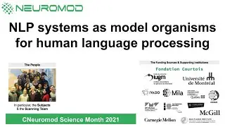 NLP systems as model organisms for human language processing