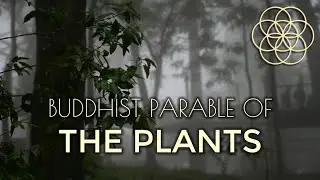 Buddhist Parable of the Plants | Solfeggio 40 Hz