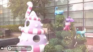 沙田新城市廣場一期《愛麗絲夢遊仙境》星光花園 Sha Tin New Town plaza Alice's adventure at starlight garden 20181203