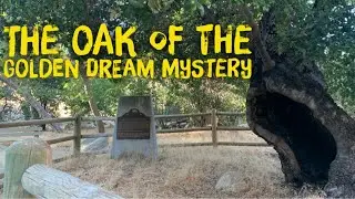 The Oak of the Golden Dream Mystery