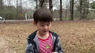Mushroom Hunter, found big patch of mushrooms in the yard!