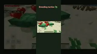 Tutorial to breed turtles in #minecraft #shorts #CrotGamerz