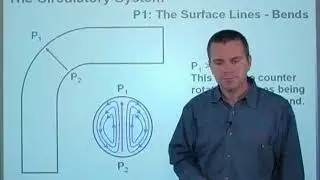 10. pressure loss in circ  system