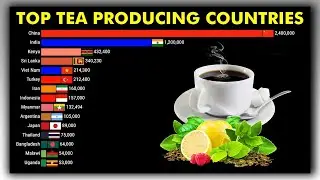 Top TEA Producing Countries