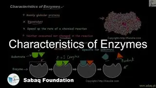 Characteristics of Enzymes, Biology Lecture | Sabaq.pk