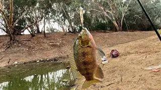 סשן דיג XUL מס' 4 ל 2023 מהנה באגם הנקיק 🎣 Enjoyable XUL fishing at the lake HE/EN Subs