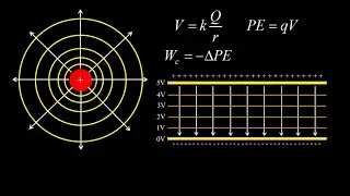 Equipotential lines and electric field + point charge and capacitor examples.