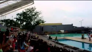 Manila Ocean Park bird show