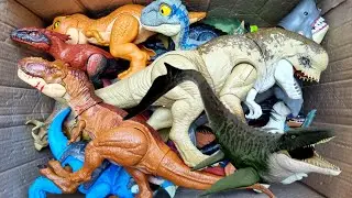 Dinosaur Jurassic World Toy In The Box ASMR Review
