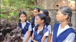 आग्या ( Urtica Interrupta ) वनस्पती @ शारदाश्रम जकातवाडी, सातारा.