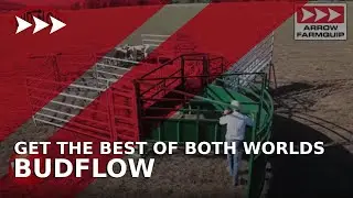 BudFlow: Get the best of both worlds!