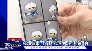 GD愛貓來了！「ZOA快閃店強勢登台」粉絲早起排隊:周邊我全包｜TVBS新聞