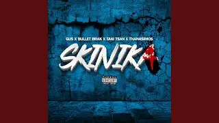 Skinika (feat. Thanasimos)