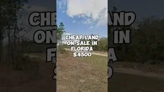 Cheap land in Sale in Florida for $4500 #realestate #florida #property #land #foryou #investing #fyp