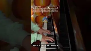 Minuet in g, by H&auml;ndel-Kempff #relaxingpiano