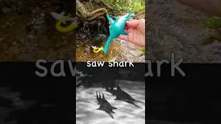 Learn at the Double Waterfall | Sea Animal Names for Kids: Saw Shark Pufferfish Hammerhead Jellyfish