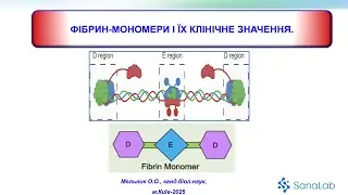 Фібрин мономери та їх клінічне значення