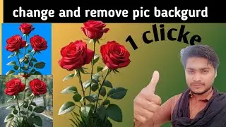 One Click Background Remove Automatically